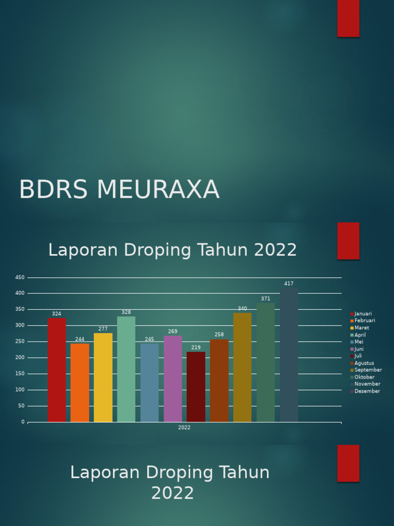 Laporan Tahunan Bdrs Meuraxa 2022 | PDF