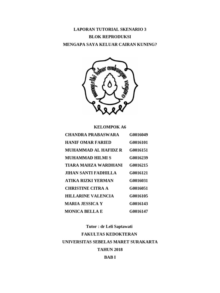 13 3 | PDF