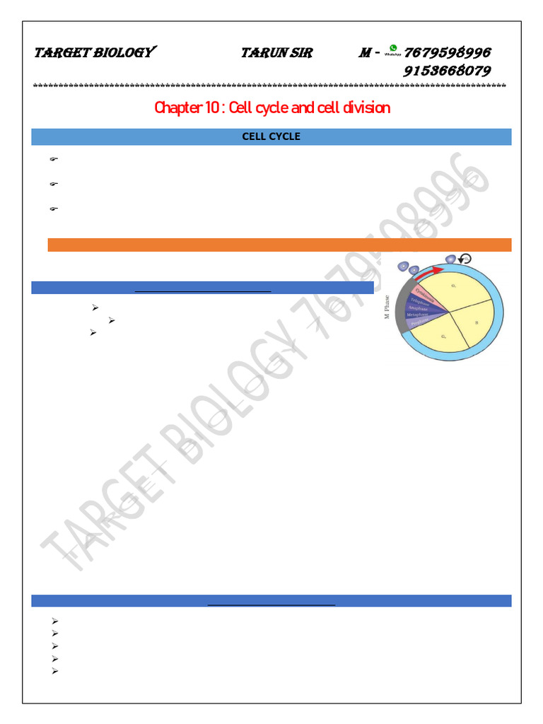 Cell Division NEET | PDF