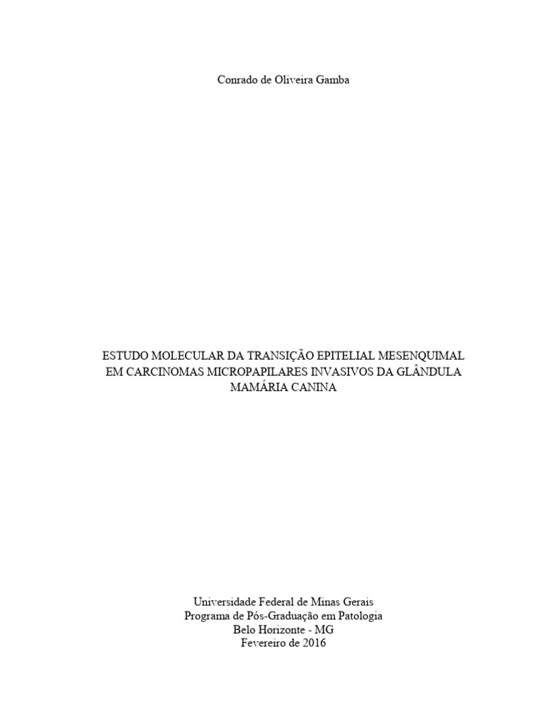 Gamba C.O Tese Vers o Final | PDF