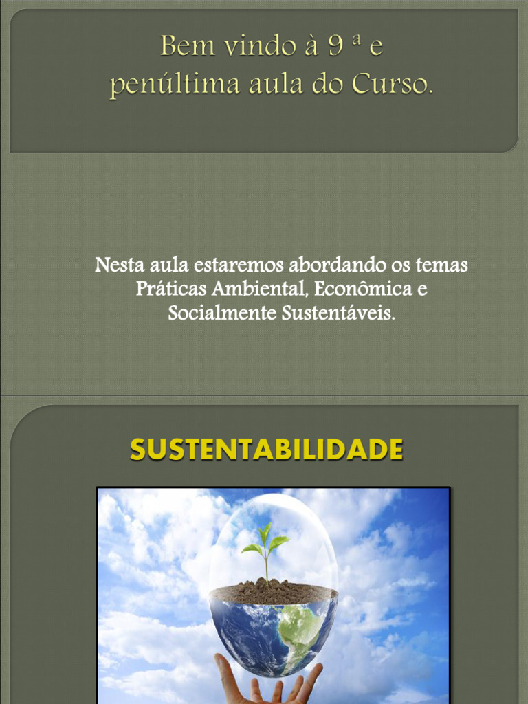 Aula 9 Alimentação Escolar Pdf