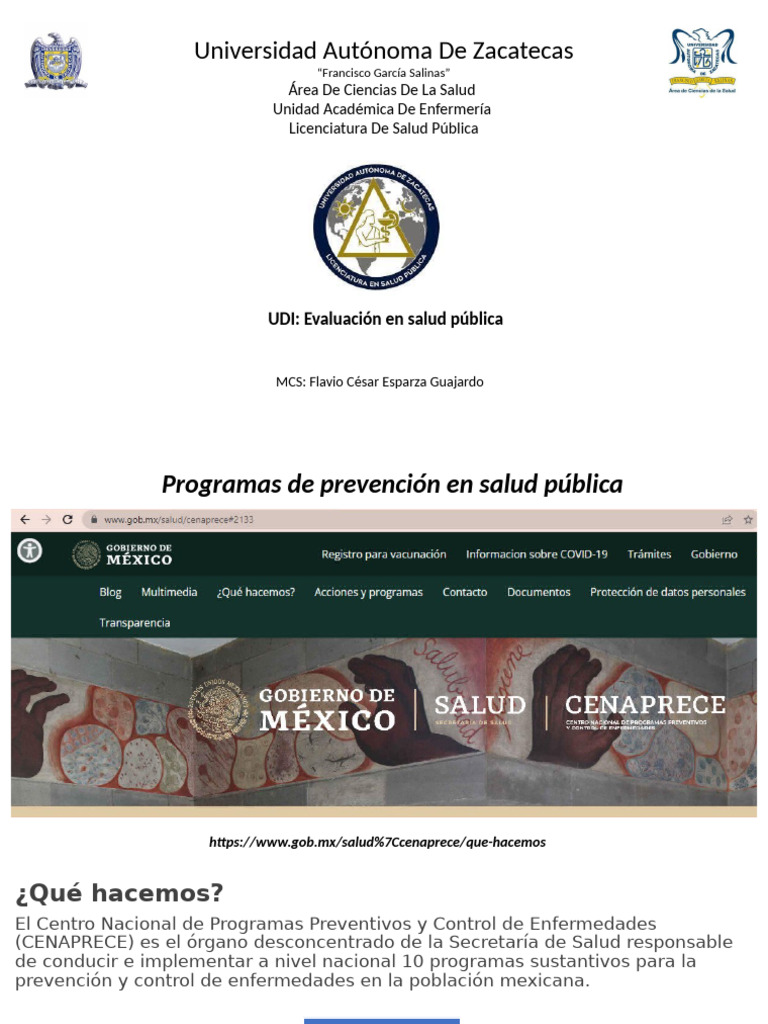 Programas de Salud Publica 2 | PDF