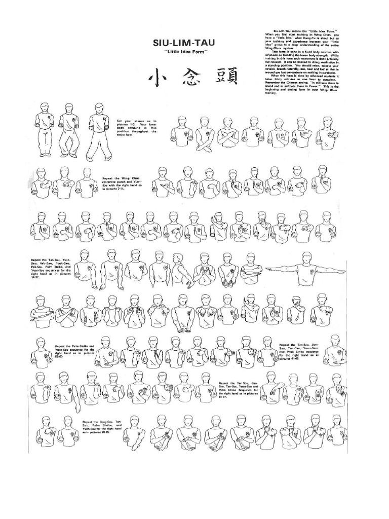Wing Chun - Sil Lim Tao | PDF
