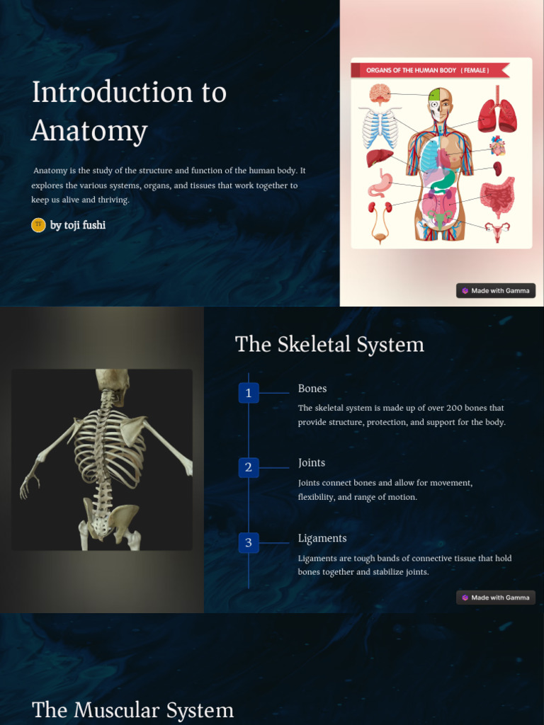 INTRODUCTION OF ANATOMY AND PHYSIOLOGY PDF visual data 6