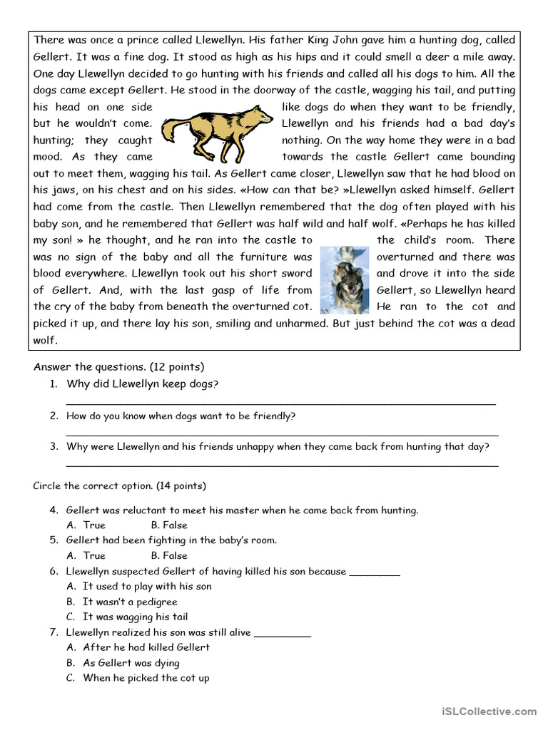 Reading Comprehension | PDF
