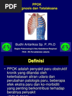 Download PPOK by Sulaiman Gayo SN76464320 doc pdf