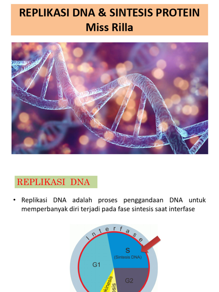 Proses Replikasi DNA dan Sintesis Protein | PDF | Dna Replication ...