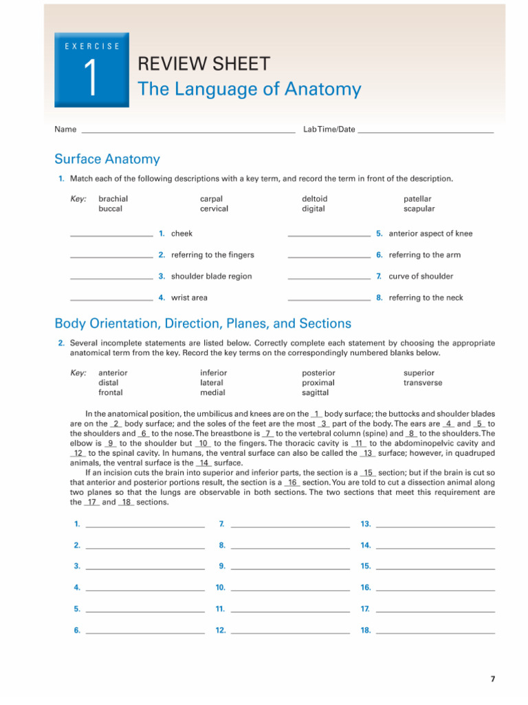 Chapter 5 of Activity Sheet | PDF