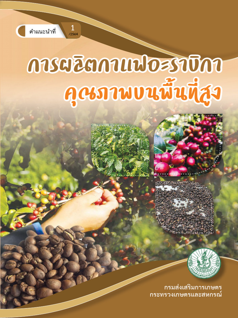 Coffee 3 | PDF