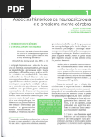 Ensino de Ciências Por Investigação - Anna Maria Pessoa de Carvalho | PDF