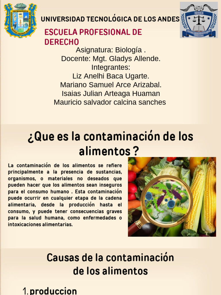 La Contaminacion de Los Alimentos 2.0.pptx - 20240822 - 062313 - 0000 | PDF