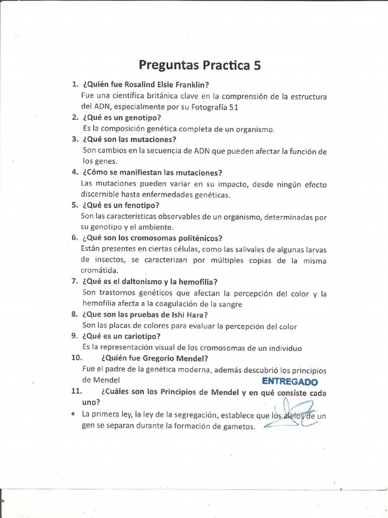Practica 5 - Equipo 13 | PDF