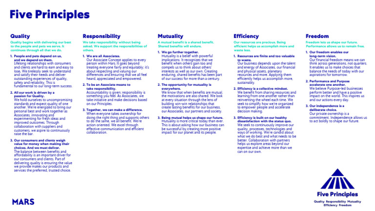 Five Principles On A Page | PDF | Motivation | Motivational