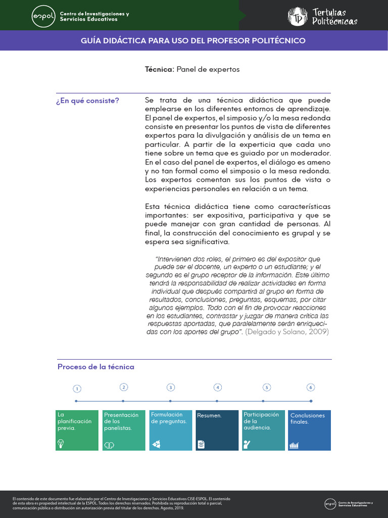 El Panel De Expertos Pdf