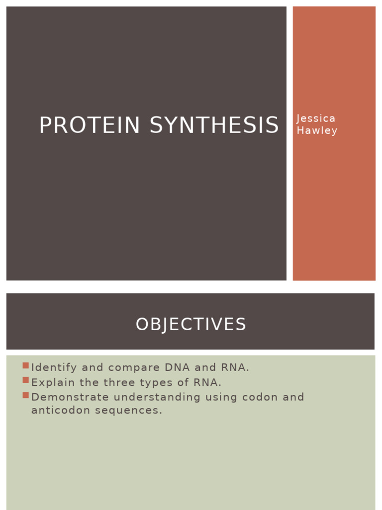 ProteinSynthesis 000-1 | PDF