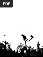 (Caio Resende) Meninos e Bruxas