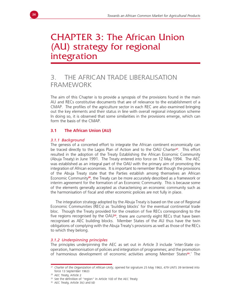 CHAPTER 3: The African Union (AU) Strategy For Regional Integration | PDF