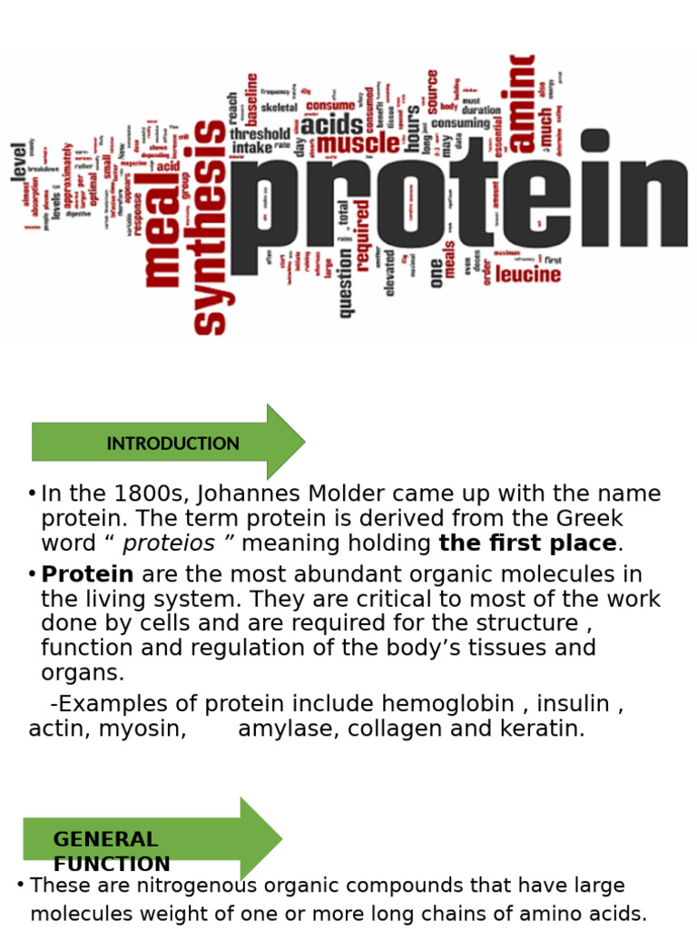 Group 2 Protein | PDF