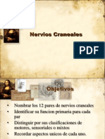 NerviosCranealesRev