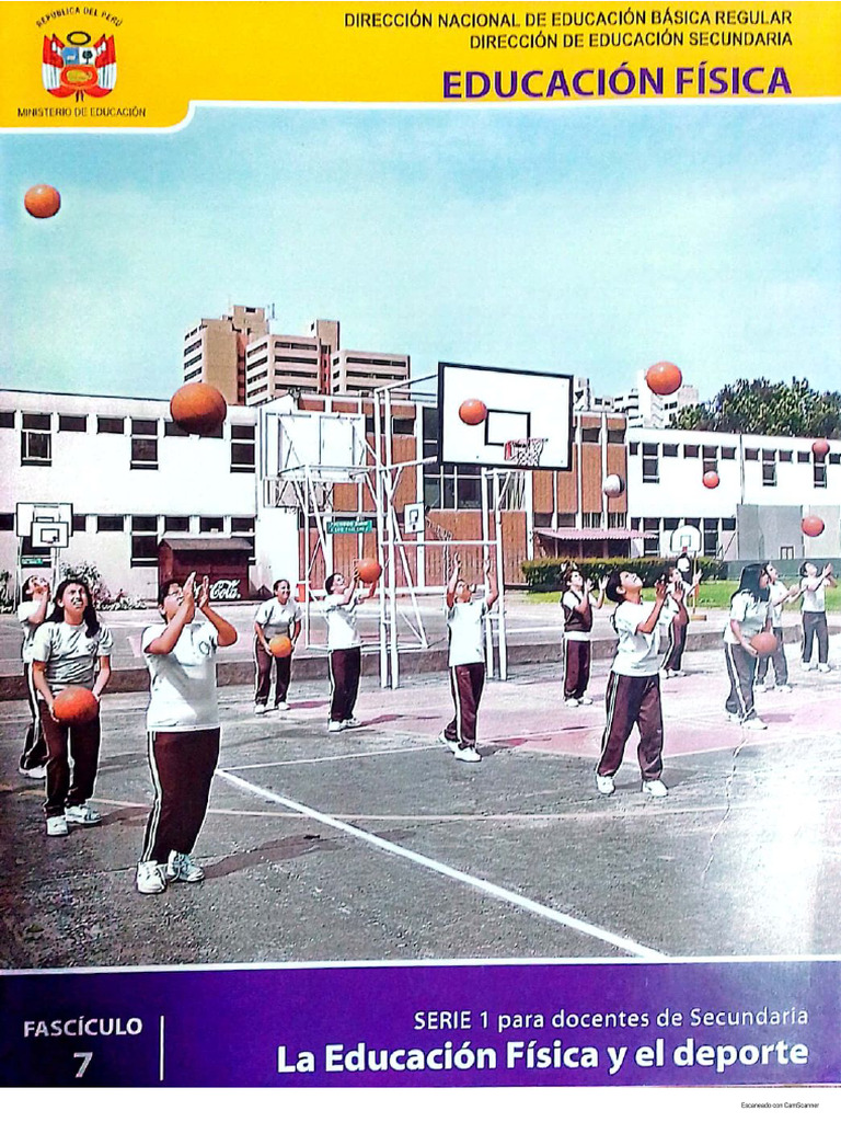 Fasciculo 7 La Educación Física y El Deporte | PDF