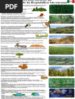 Flora y Fauna de Oaxaca | PDF