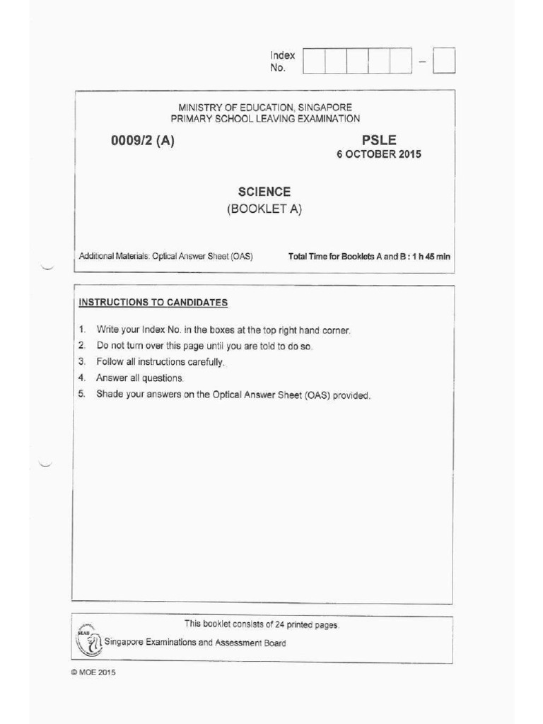 2015 Psle | PDF