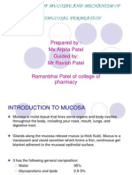 Physiology of Mucosae and Mechanism of Transmucosal Permeation