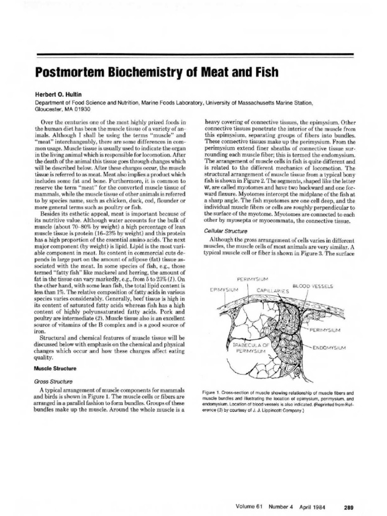 Hultin 1984 Postmortem Biochemistry of Meat and Fish | PDF