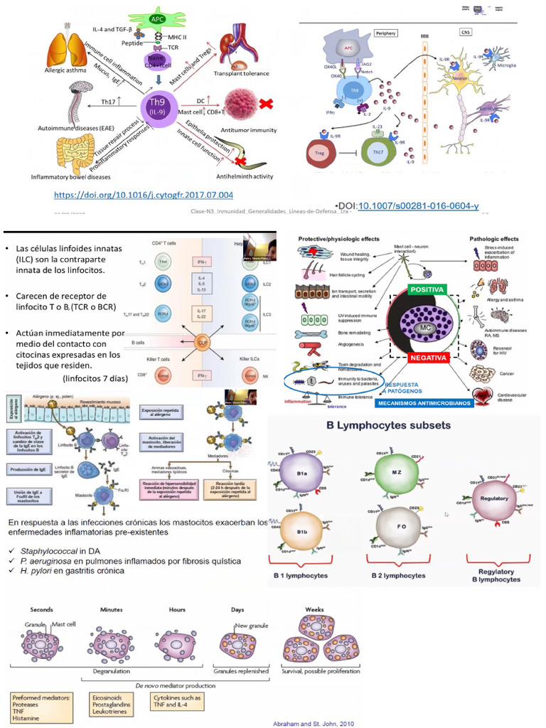 Random Bacterias | PDF