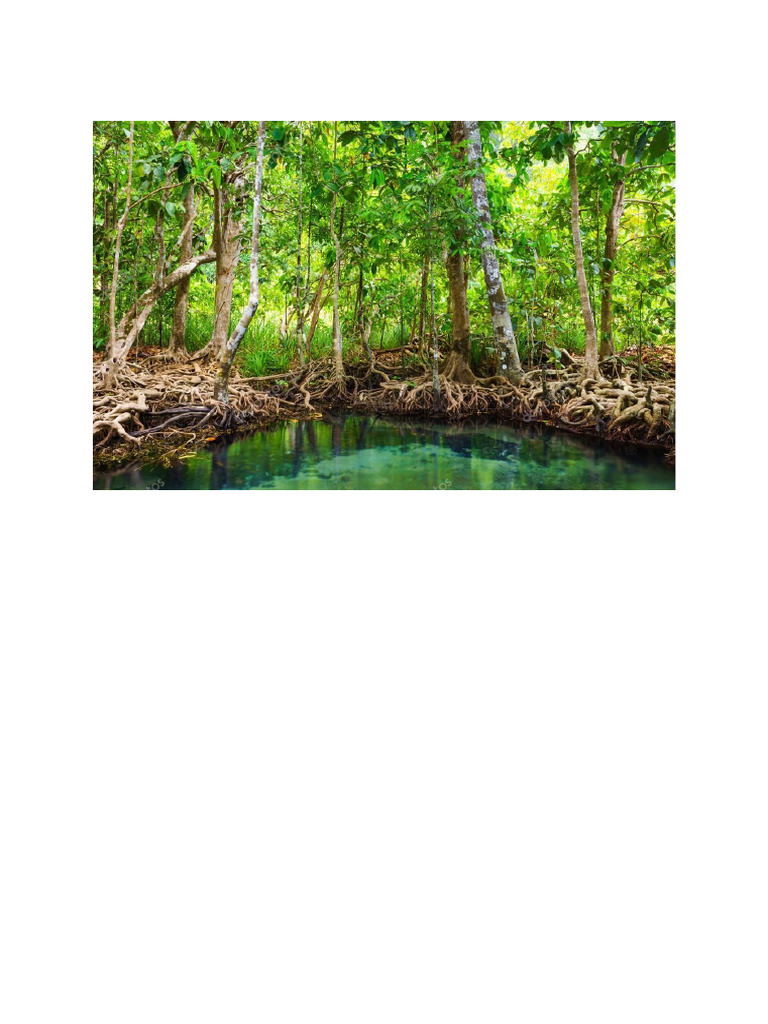 LHO Bakau | PDF