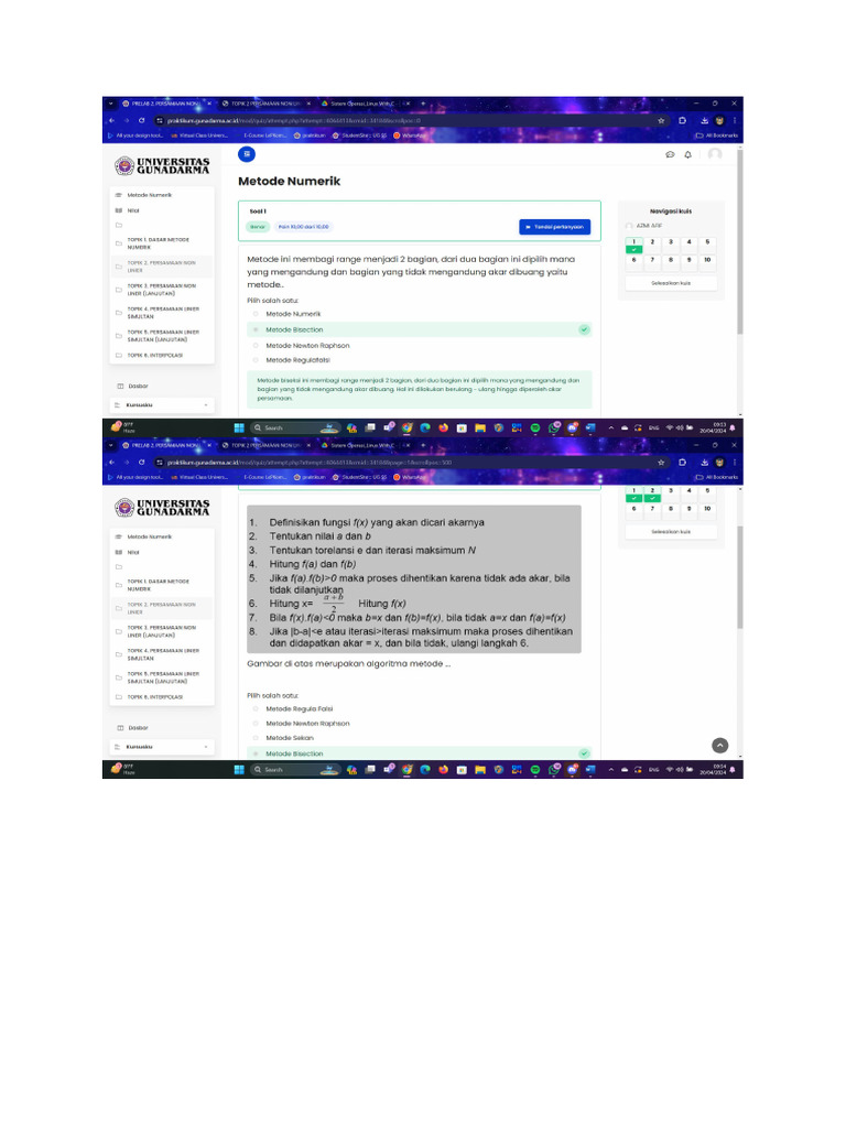 Numerik 2 Ilab | PDF