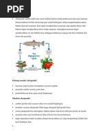 Download Peluang uasaha Akuaponik by bayonnkz SN76493447 doc pdf