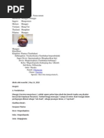 Makalah Apotek Afiah Farmaaaaa