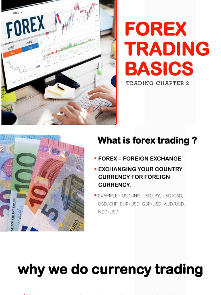 Forex Trading Basics for Beginners | PDF | Law