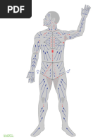 Planse ganglioni fin