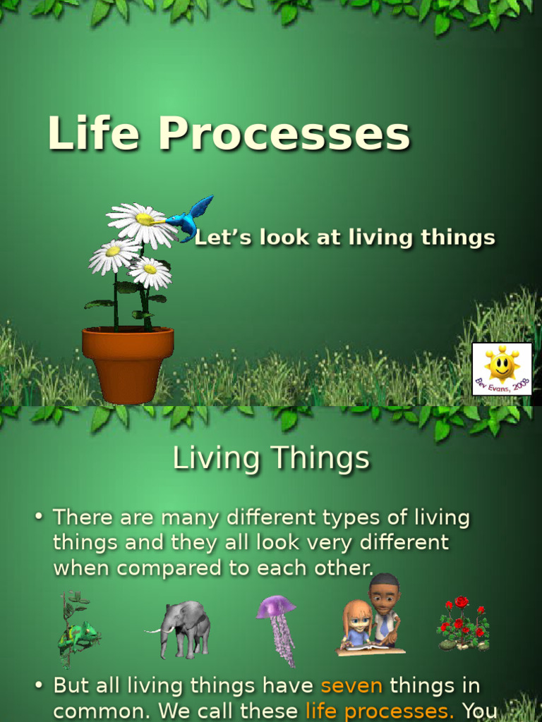 Life Processes | PDF