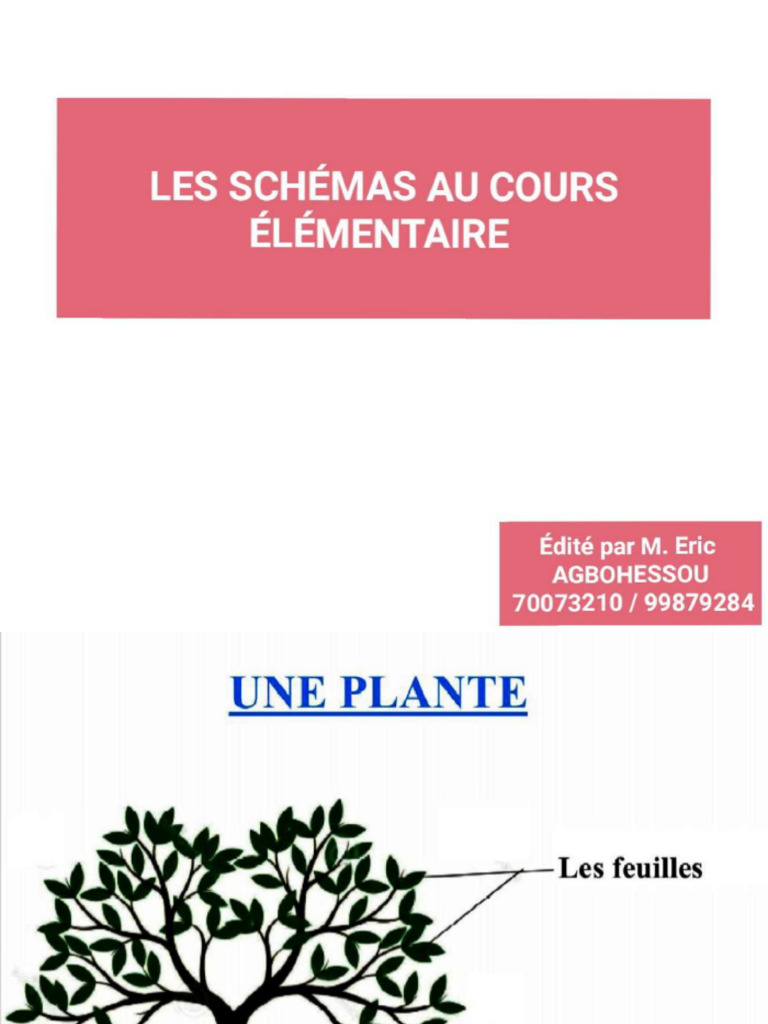 Les Schémas Au CE | PDF