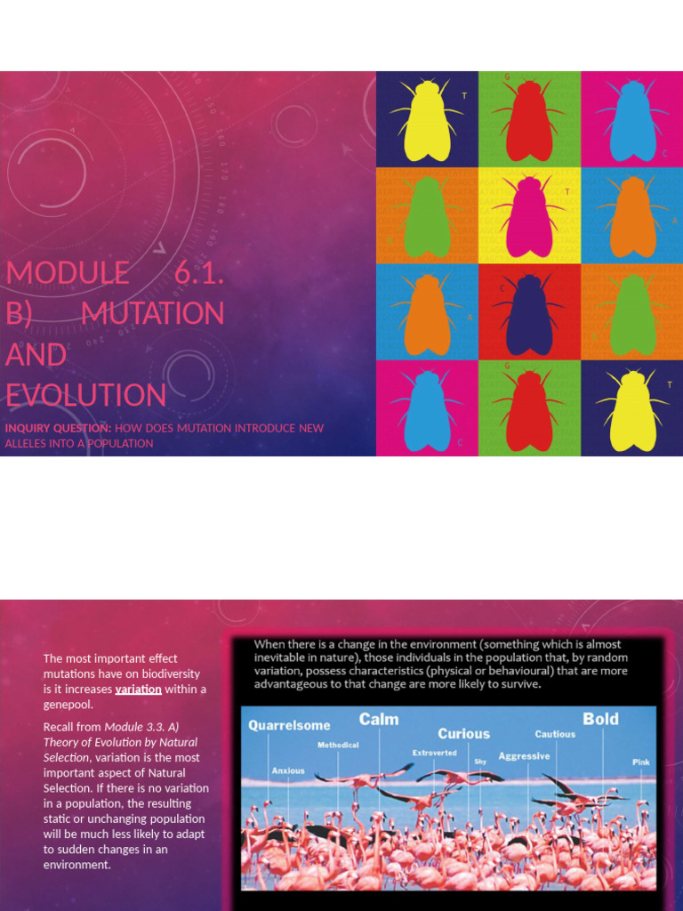 Module 6.1. B) Mutation and Evolution | PDF