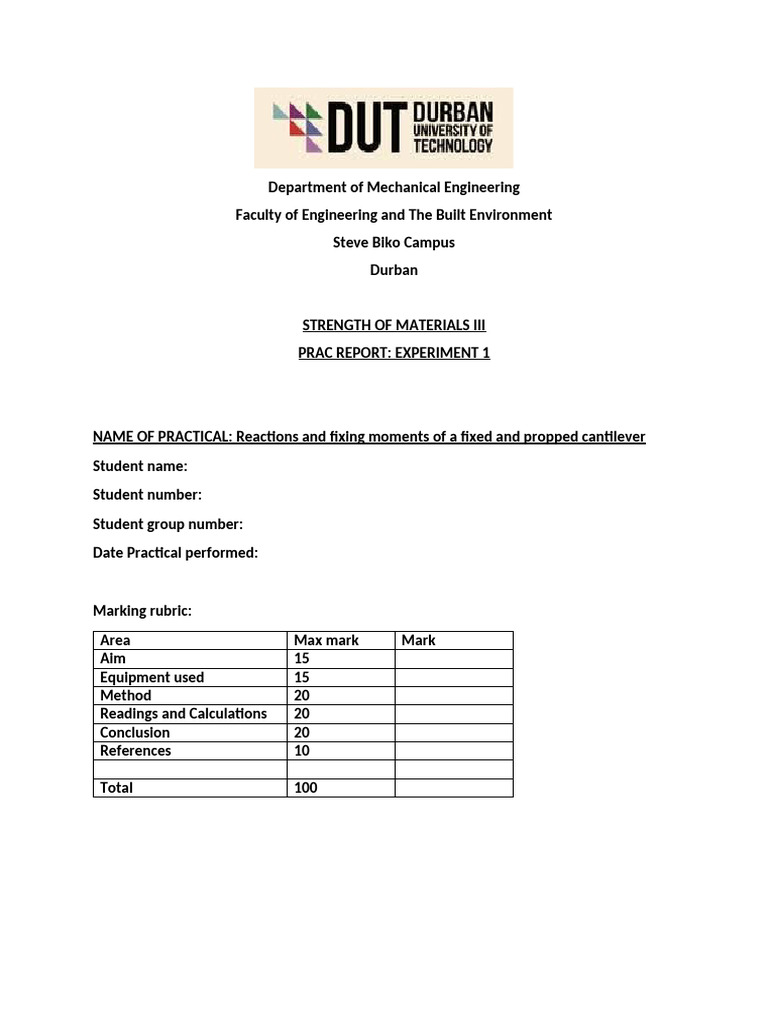 SOM3 Prac Report Template (For Both Pracs) | PDF