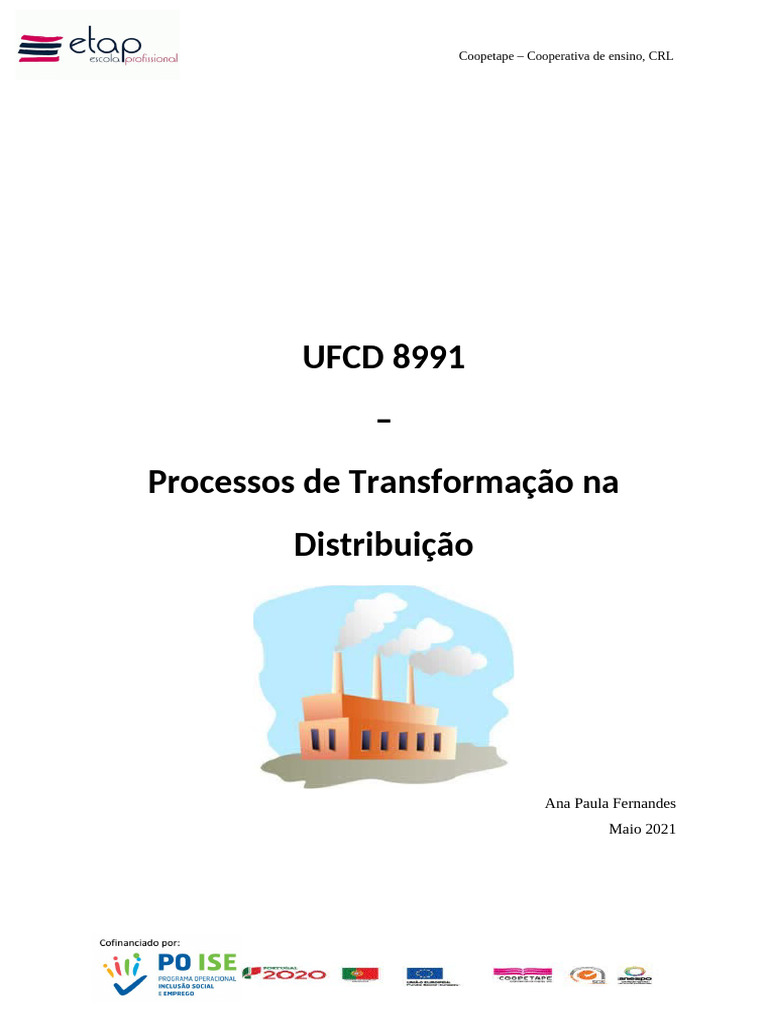 Manual 8991 | PDF