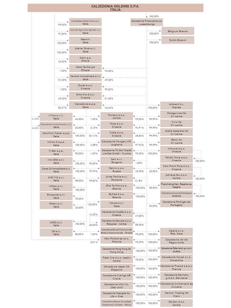 Calzedonia+Group+Structure+2020 | PDF