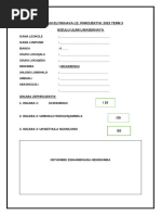 2024 Final EMS Grade 7 Term 3 Project - Learner Book | PDF