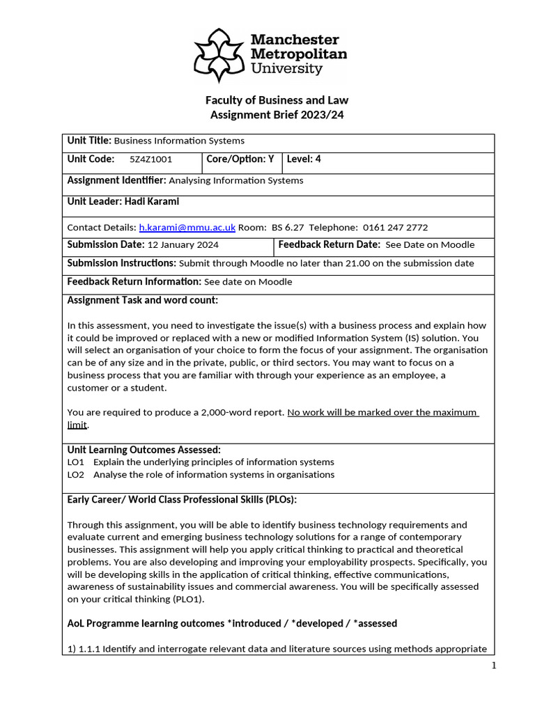 Analyzing Business Information Systems | PDF | Academic Dishonesty ...