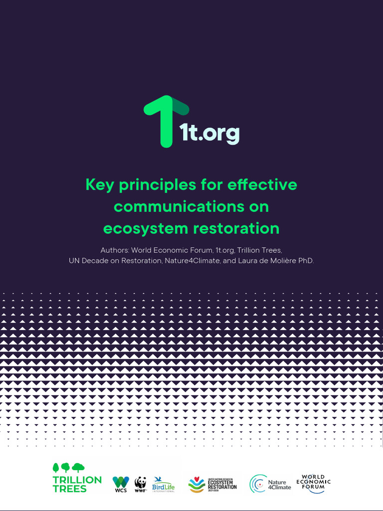 WEF_Principles_of_restoration_communications_2023 | PDF