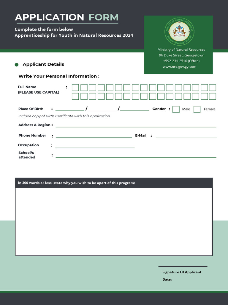 Ynr 2024 Form | PDF