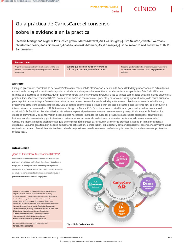 CCI Practice Guide - En.es | PDF
