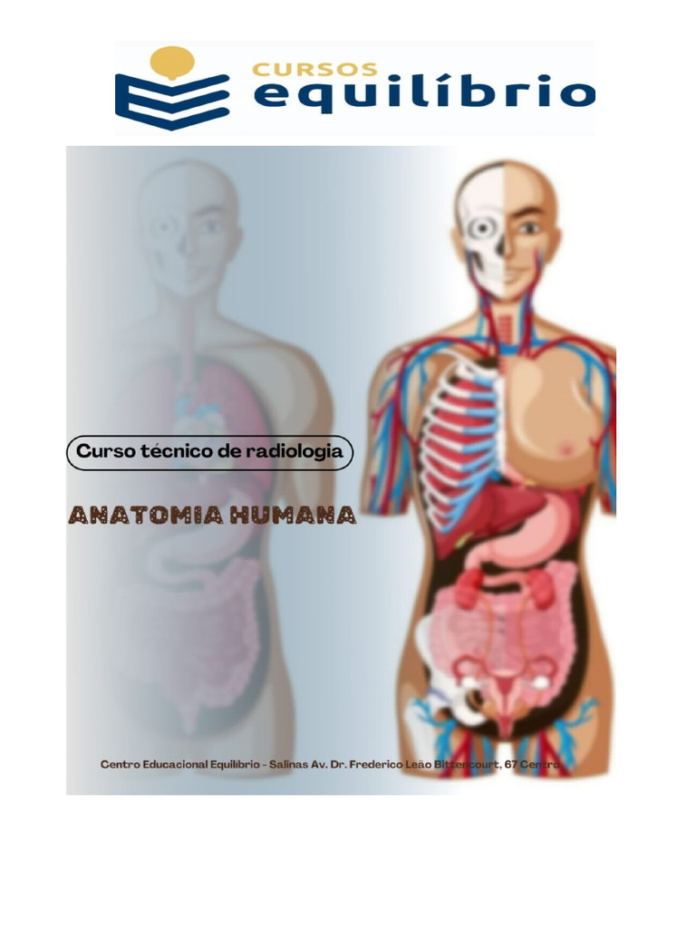 Apostila 2 Anatomia Humana | PDF