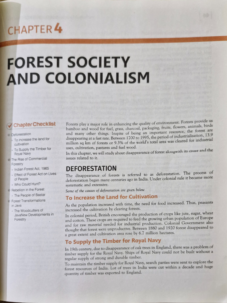 Forest Society | PDF