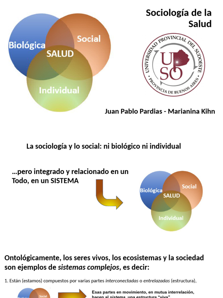 Dimensiones de La Salud | PDF