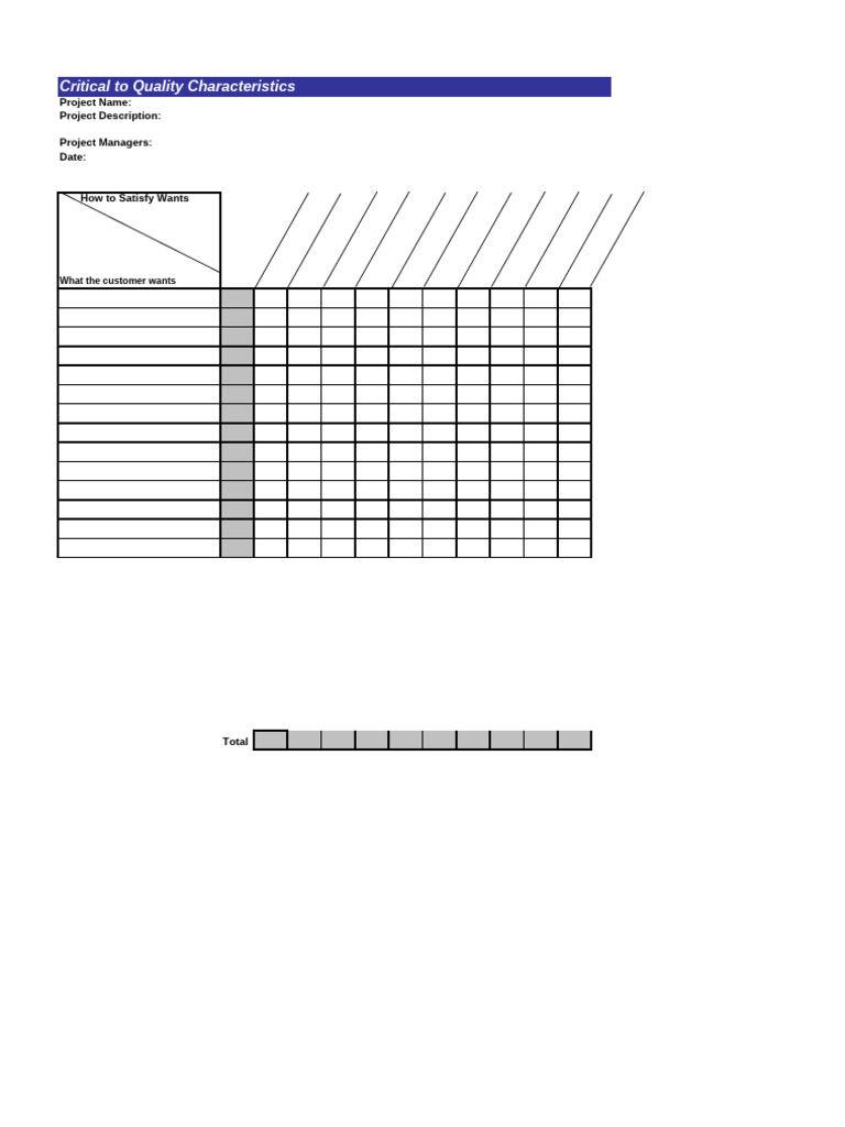 CTQ Template PDF